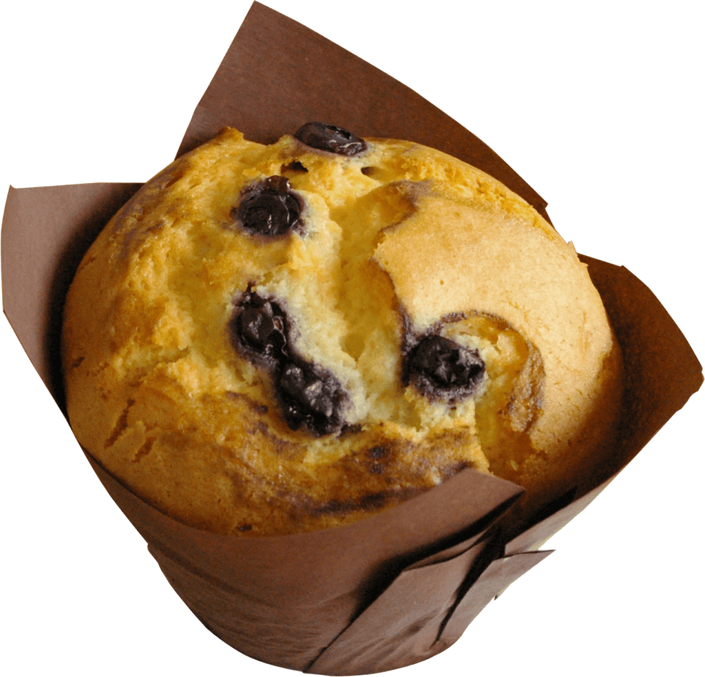 Gluten Free Blueberry Muffin - Gluten Free Gourmet